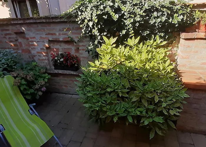 Peter * קסזטלי